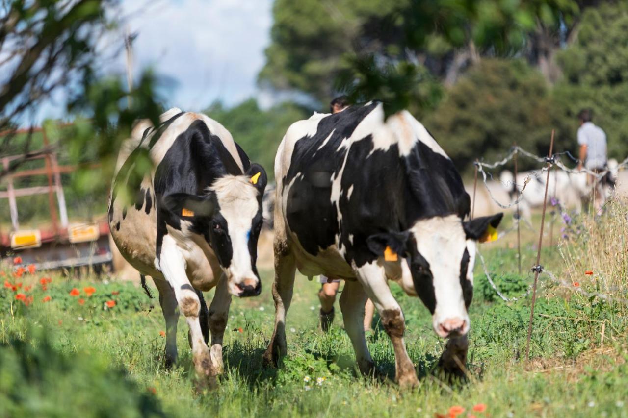 Turisme Rural Ca L,Anguila ξενώνας Peratallada Εξωτερικό φωτογραφία